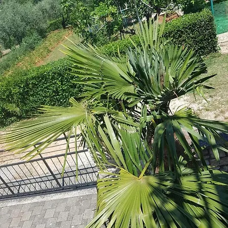 Appartement Mit Balkon